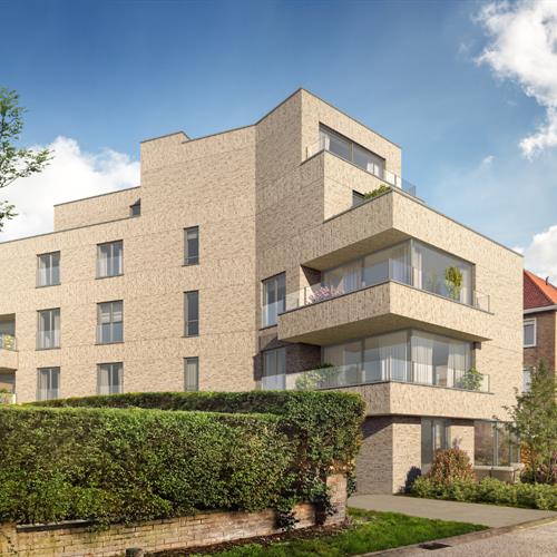 Nieuwbouw te koop De Panne - Caenen 4239670 - 579621