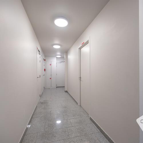 Appartement te koop Oostende - Caenen 4267986 - 595035