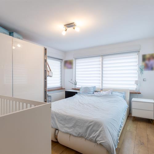 Kantoor met woonst te koop Oostkamp - Caenen 4268984 - 596892