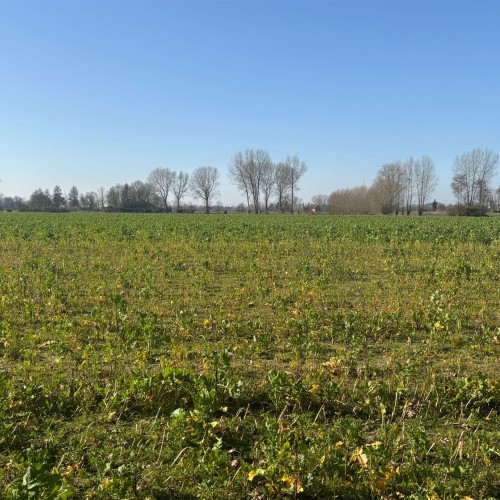 Huis te koop Ruddervoorde - Caenen 4272221 - 3746001023000096831