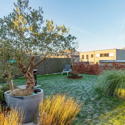 Maison à vendre Waardamme - Caenen 4282770 - 608684