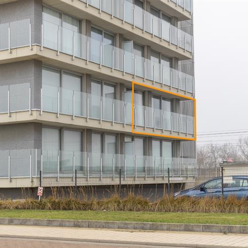Appartement te koop Middelkerke - Caenen 4283525 - 613155