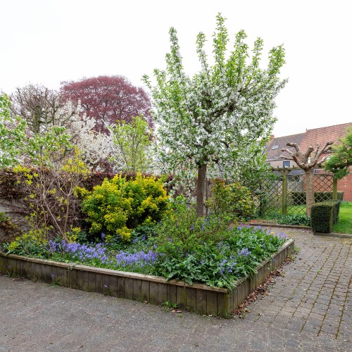 Huis te huur Ruddervoorde - Caenen 4348882 - 3746001023000100015