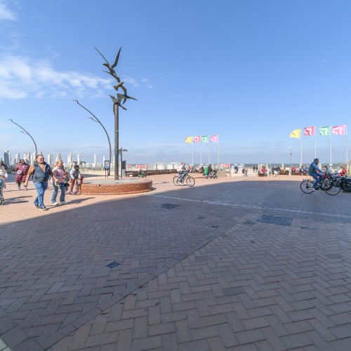 Studio te koop De Panne - Caenen 4352338 - 3746001023000100971