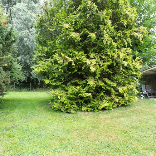 Huis te koop Torhout - Caenen 4404708 - 3746001023000107094