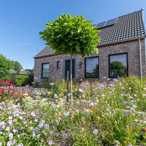 Huis te koop Ruddervoorde - Caenen 4409390 - 3746001023000109530