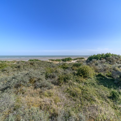 Appartement te koop De Panne - Caenen 4416276 - 3746001023000109024
