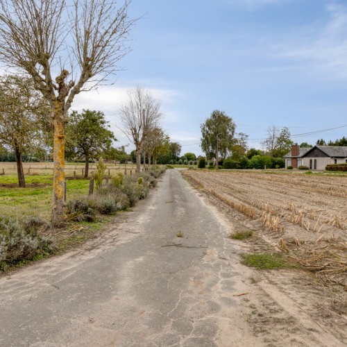 Ferme à vendre Ruddervoorde - Caenen 4445026 - 3746001023000113078